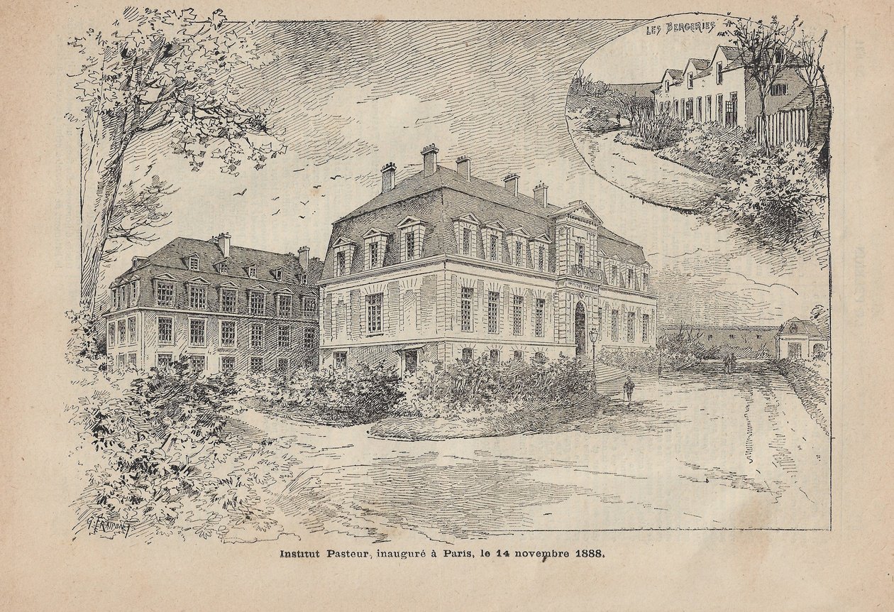 O Instituto Pasteur em Paris de Unbekannter Künstler