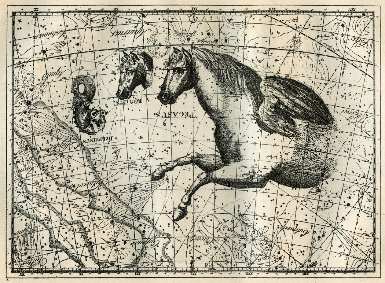 A constelação de Pegase, desenha como a metade anteriora de um cavalo com um par de asas, o Cavalinho, a cabeça de um cavalo e o Golfinho. Gravura de "Les étoiles et les autres curiosites du ciel" de Camille Flammarion de Unbekannt