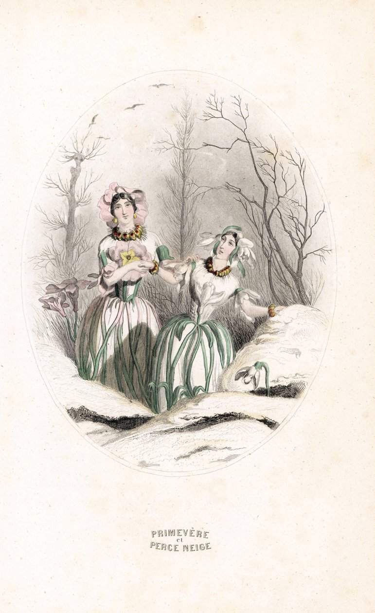 As taxas perfuram a neve e se destacam em uma paisagem nevada - Eau forte de Charles Geoffroy (1819-1882), baseado em uma ilustração de Jean Ignace Isidore Gerard dit J.J.J.Granville (1803-1847), para Les fleurs animees de Unbekannter Künstler