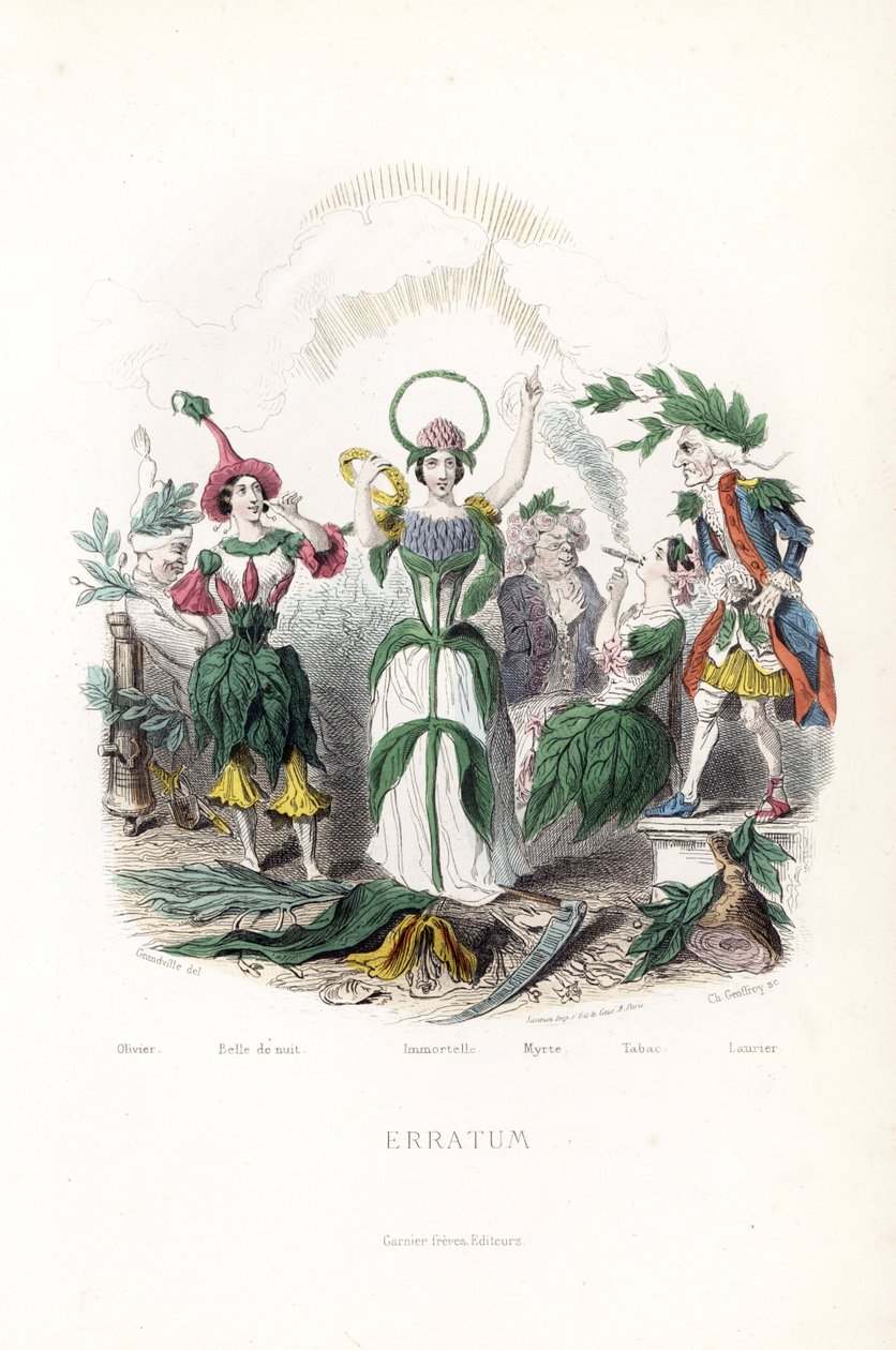 As taxas florais, a da oliveira, dormindo num gorro de algodão, a beleza nocturna, a imortela com uma coroa e uma aureola de serpente, a murta num velho, o tabaco fumando o charuto e o louro num velho mosqueteiro - Eau forte de Charles Geoffroy (181 de Unbekannter Künstler