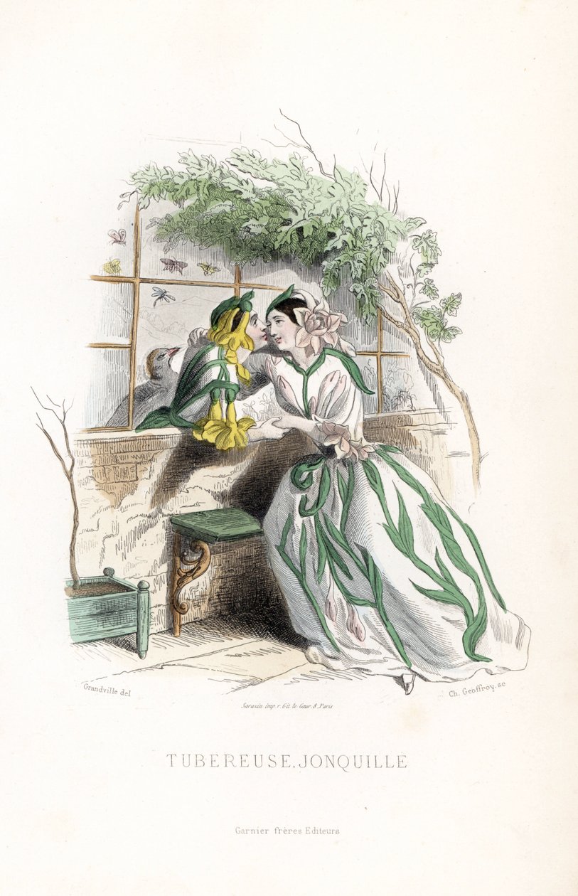 O tubérculo e um narciso duende cortejam-se num banco de jardim, junto a um muro - Eau forte de Charles Geoffroy (1819-1882), baseado numa ilustração de Jean Ignace Isidore Gerard dit J.J.Granville (1803-1847), para Les fleurs animees de Unbekannter Künstler