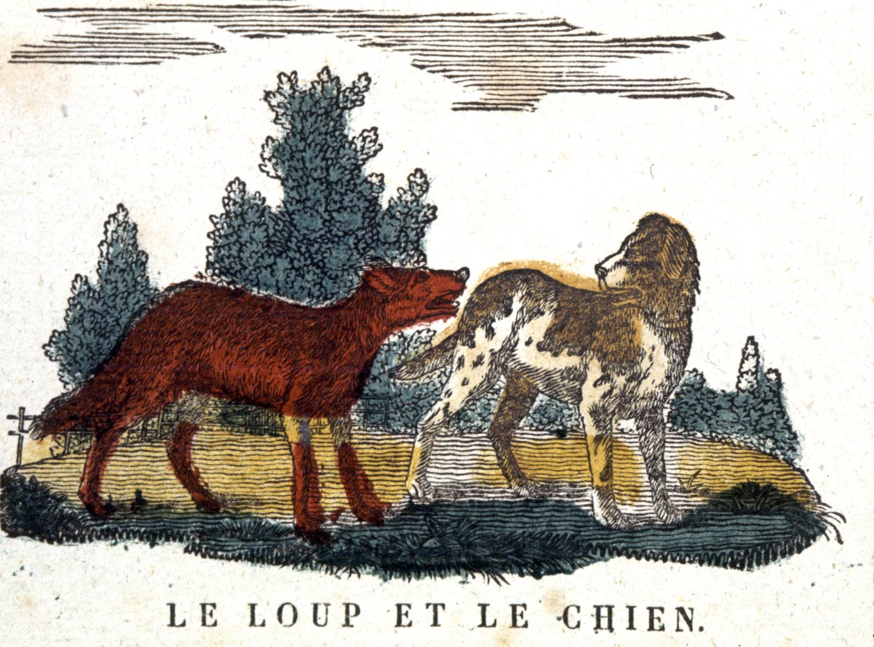 O lobo e o cão, conto de La Fontaine, início do século XIX (gravura) de Unbekannter Künstler