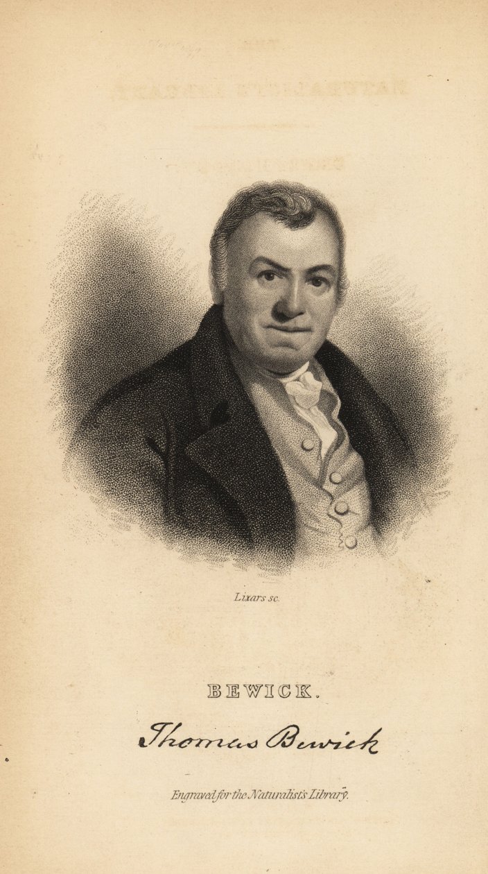 Thomas Bewick, gravador inglês e autor de história natural de Unbekannt