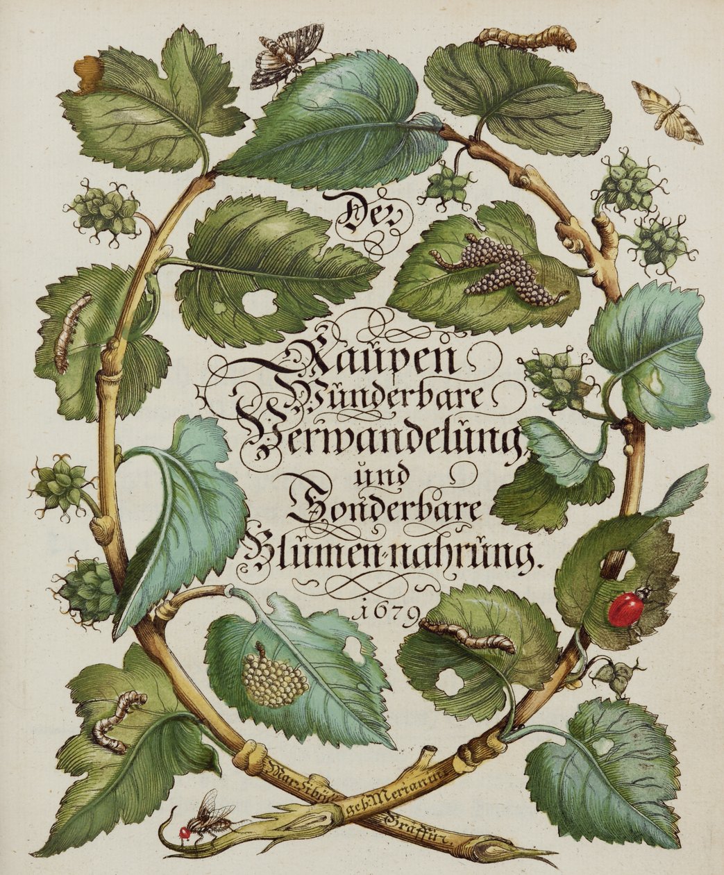 Página de título do livro de história natural de Alec Hunter