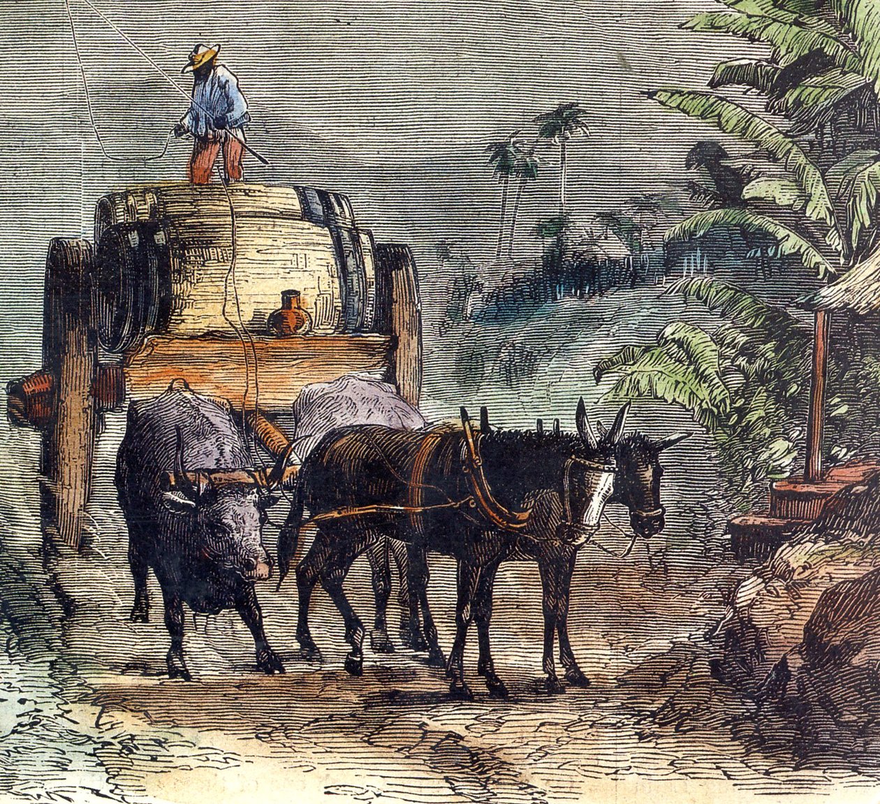Transporte de rum de Unbekannter Künstler