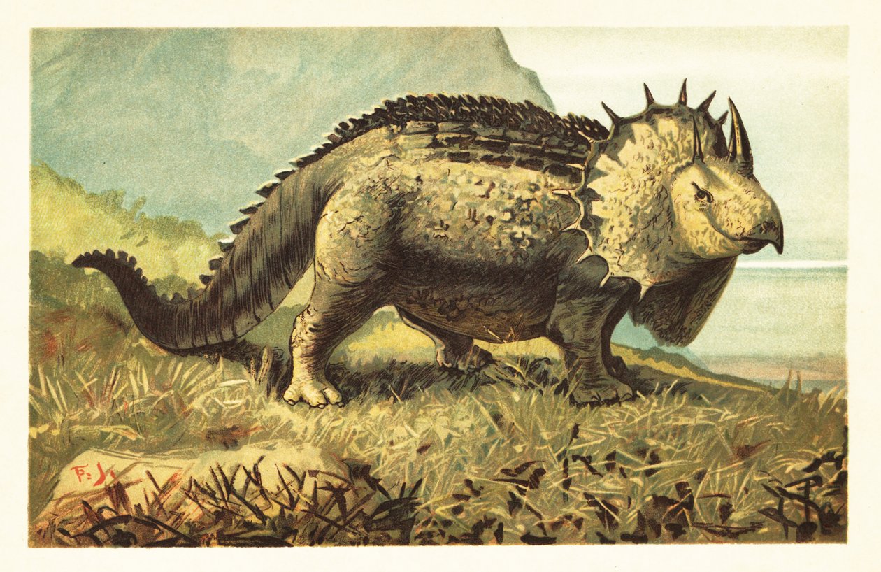Triceratops prorsus, dinossauro herbívoro extinto.1908 (litografia) de Unbekannter Künstler