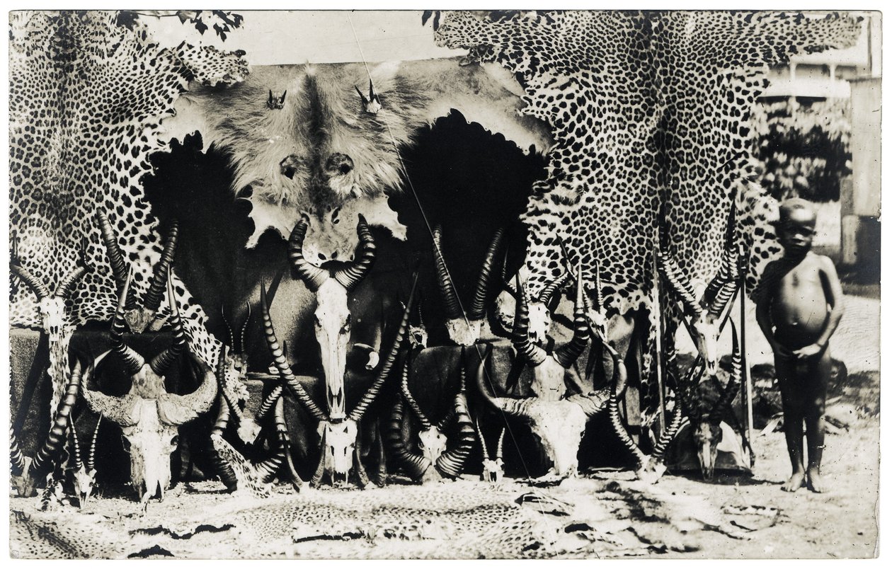 Troféus, c.1910 (fotografia a preto e branco) de Unbekannter Künstler