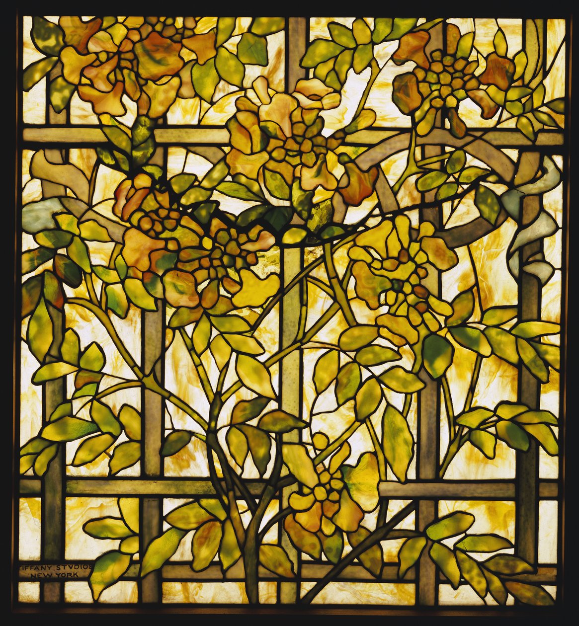 Janela de vidro Trumpet Vine, Tiffany Studios de Unbekannt