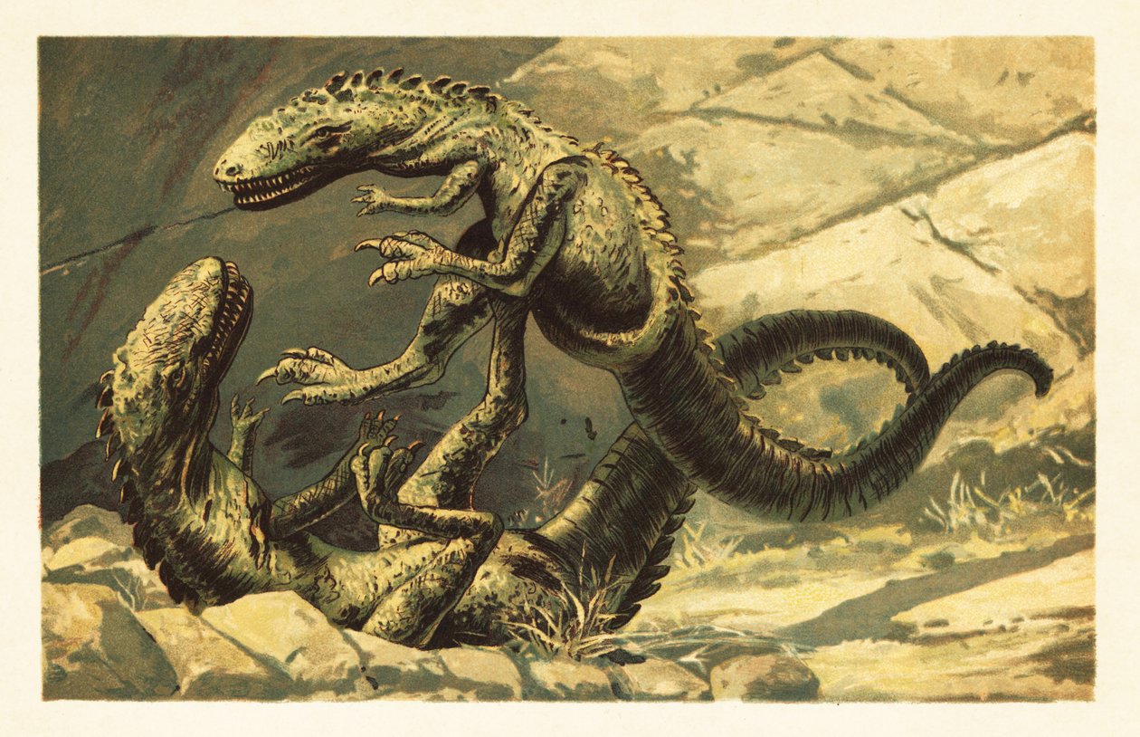 Dois combatendo Dryptosaurus aquilunguis.1908 (litografia) de Unbekannter Künstler