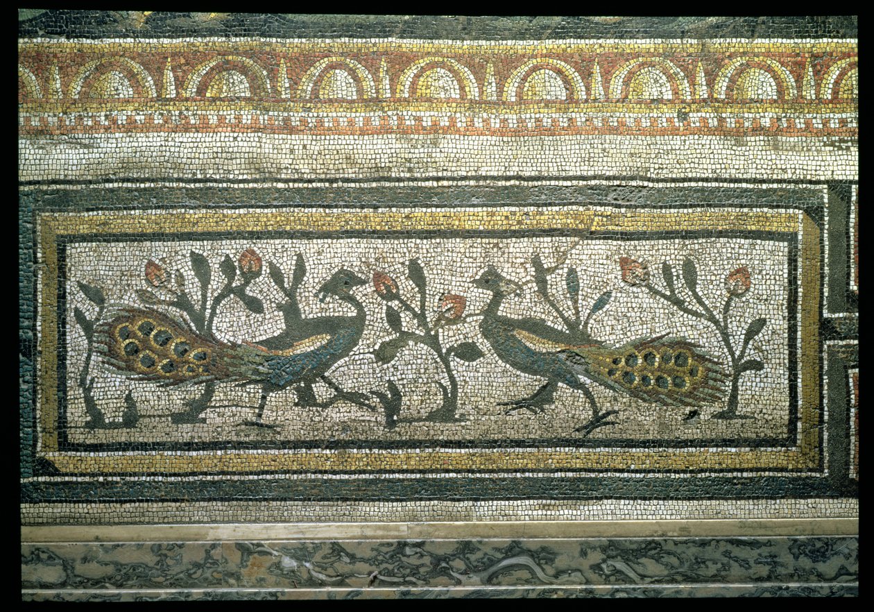 Dois pavões, detalhe decorativo de um pavimento em mosaico representando as estações e cenas de caça, da Villa Constantina em Daphne, Roman, c.325-330 d.C. (mármore, calcário e mosaico de vidro) (detalhe de 105665) de Unbekannt