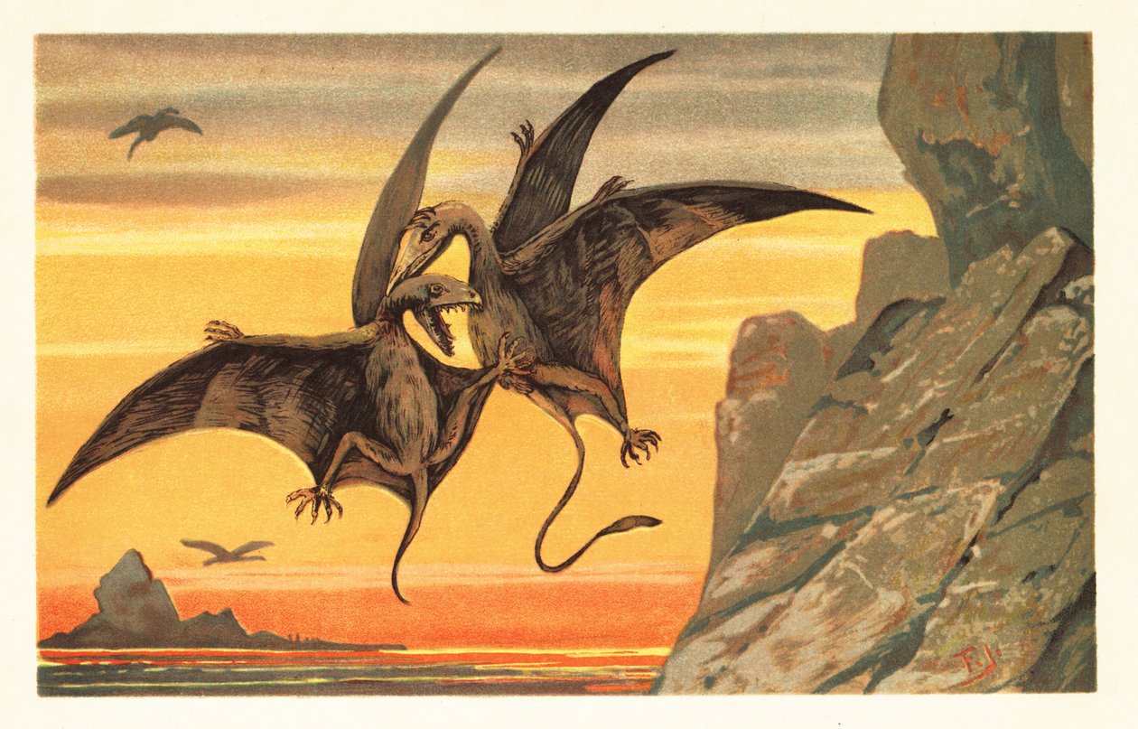 Dois pterodáctilos lutando em pleno vôo contra um céu carmesim.1908 (litografia) de Unbekannter Künstler
