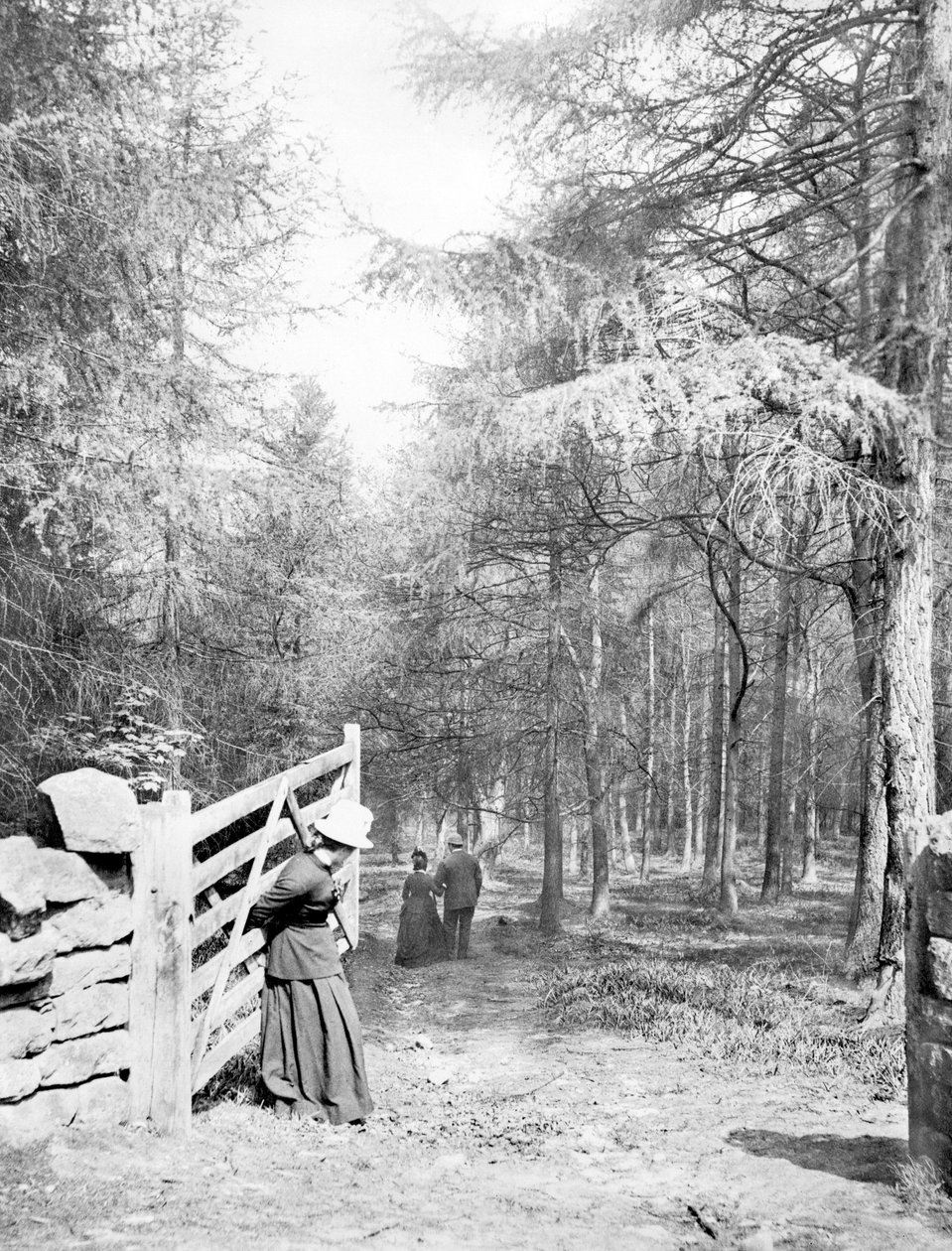 Reino Unido : Eaton Woods, c1890 de Unbekannt