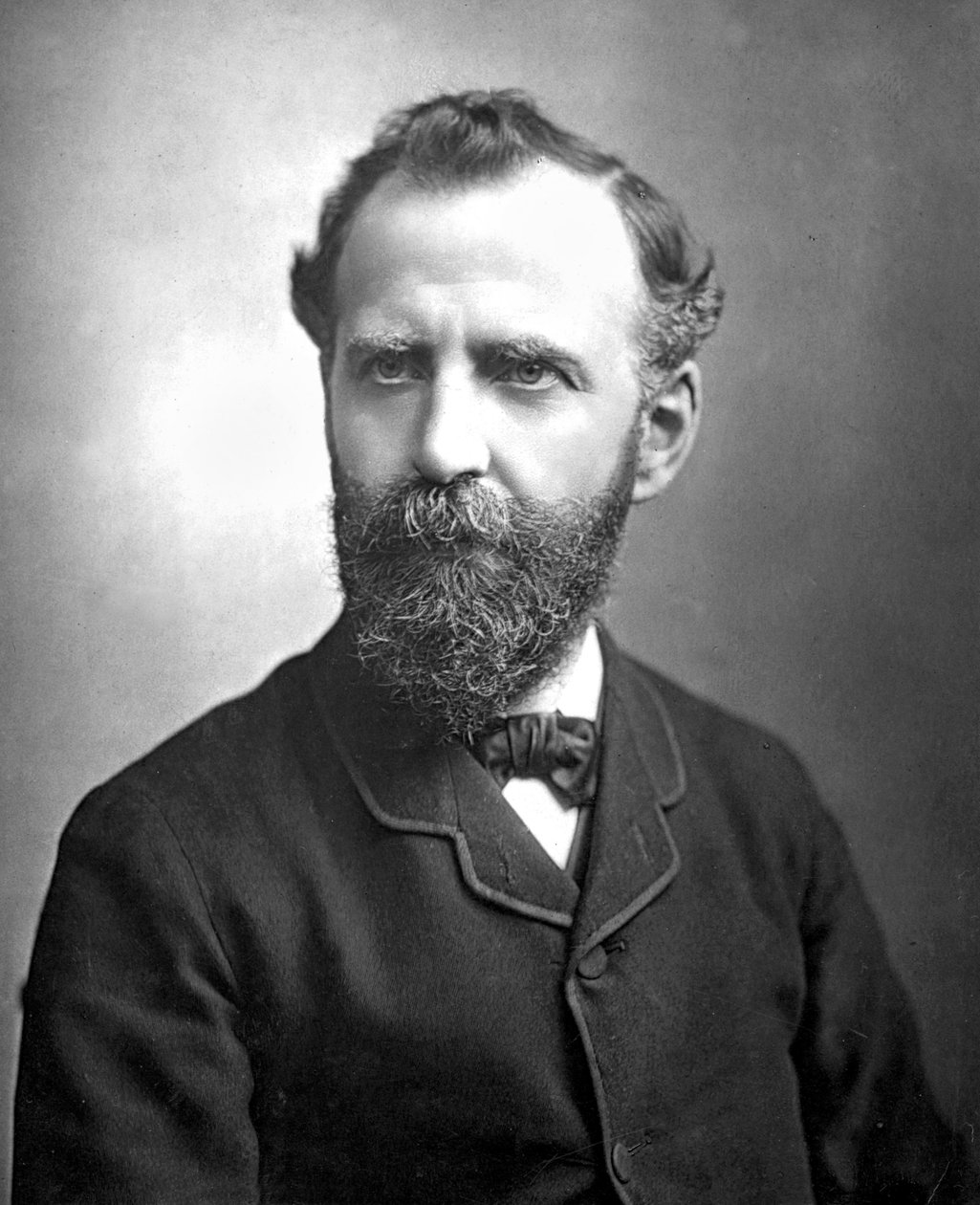 Reino Unido : William Thomas Stead de Unbekannt