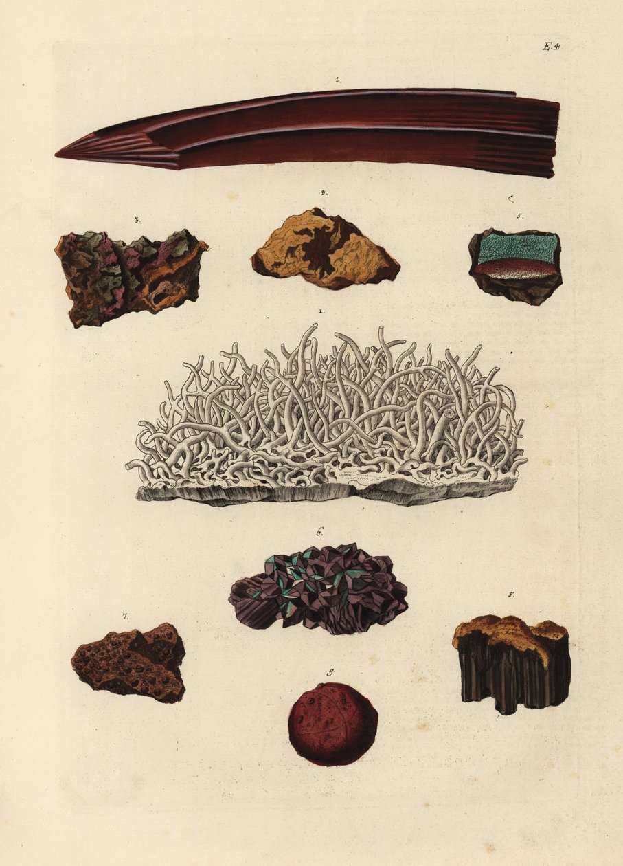 Variedades de minério de ferro. Gravura em chapa de cobre colorida à mão, segundo uma ilustração de Deliciae Naturae Selectae de Georg Wolfgang Knorr do Kabinet van Zeldzaamheden der Natuur, Blusse and Son, Nuremberga de Unbekannter Künstler