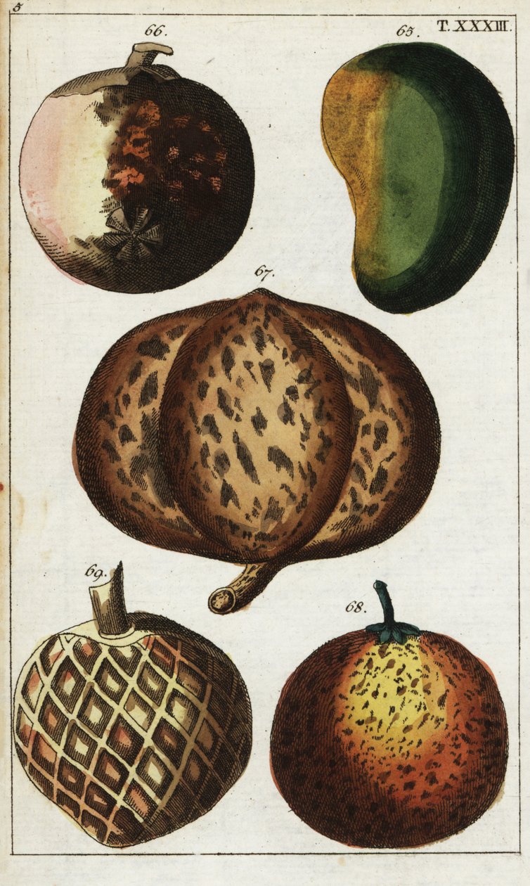 Variedades de frutos tropicais. de Unbekannter Künstler