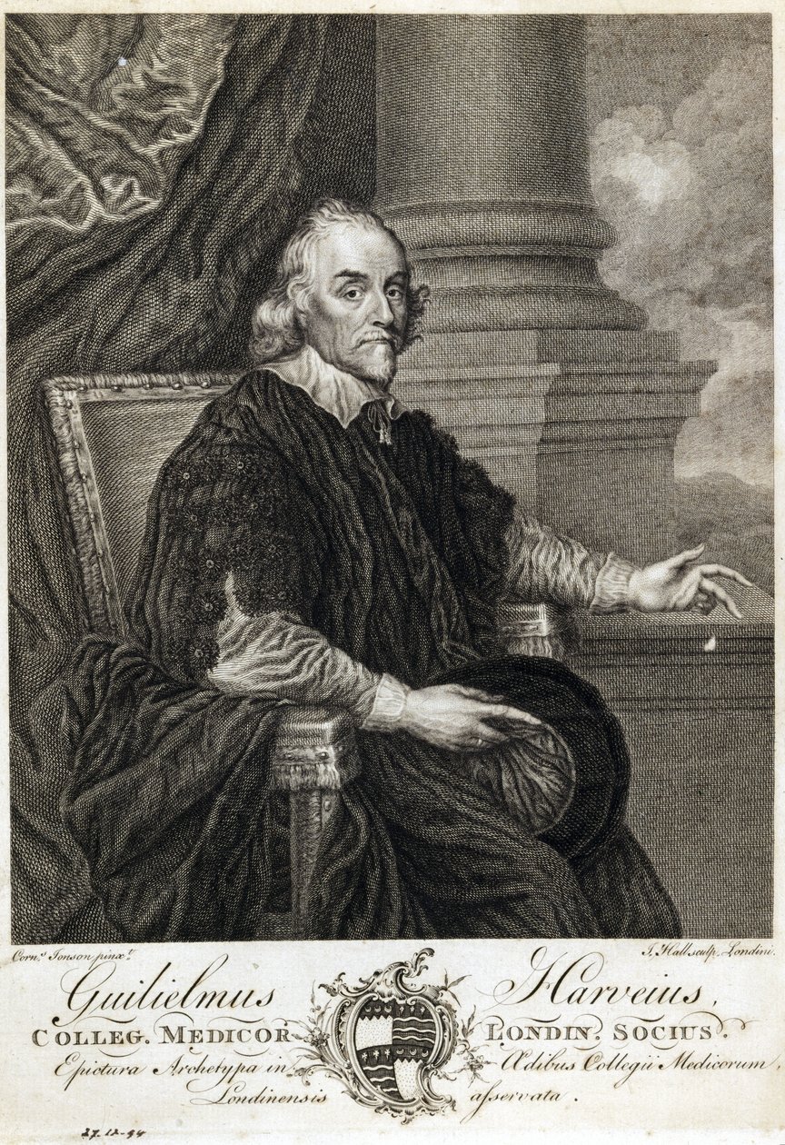 William Harvey, médico inglês de Unbekannt