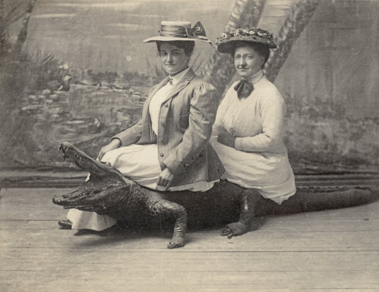 Mulheres sentadas sobre um jacaré de peluche, c.1905 (foto a p/b) de Unbekannter Künstler