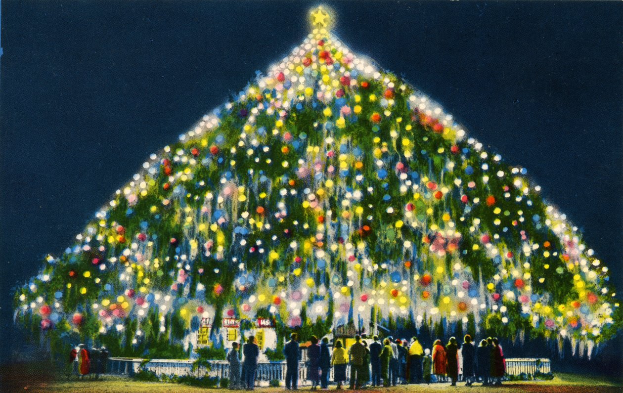 A maior árvore de Natal viva do mundo, Wilmington de Unbekannter Künstler