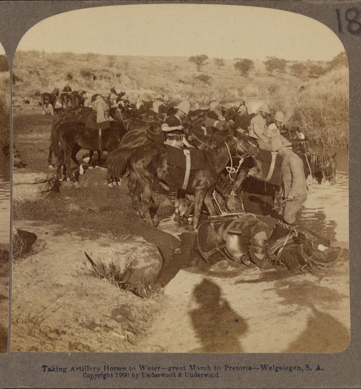 Cavalos de artilharia molhando, Welgelegen, África do Sul de Underwood and Underwood