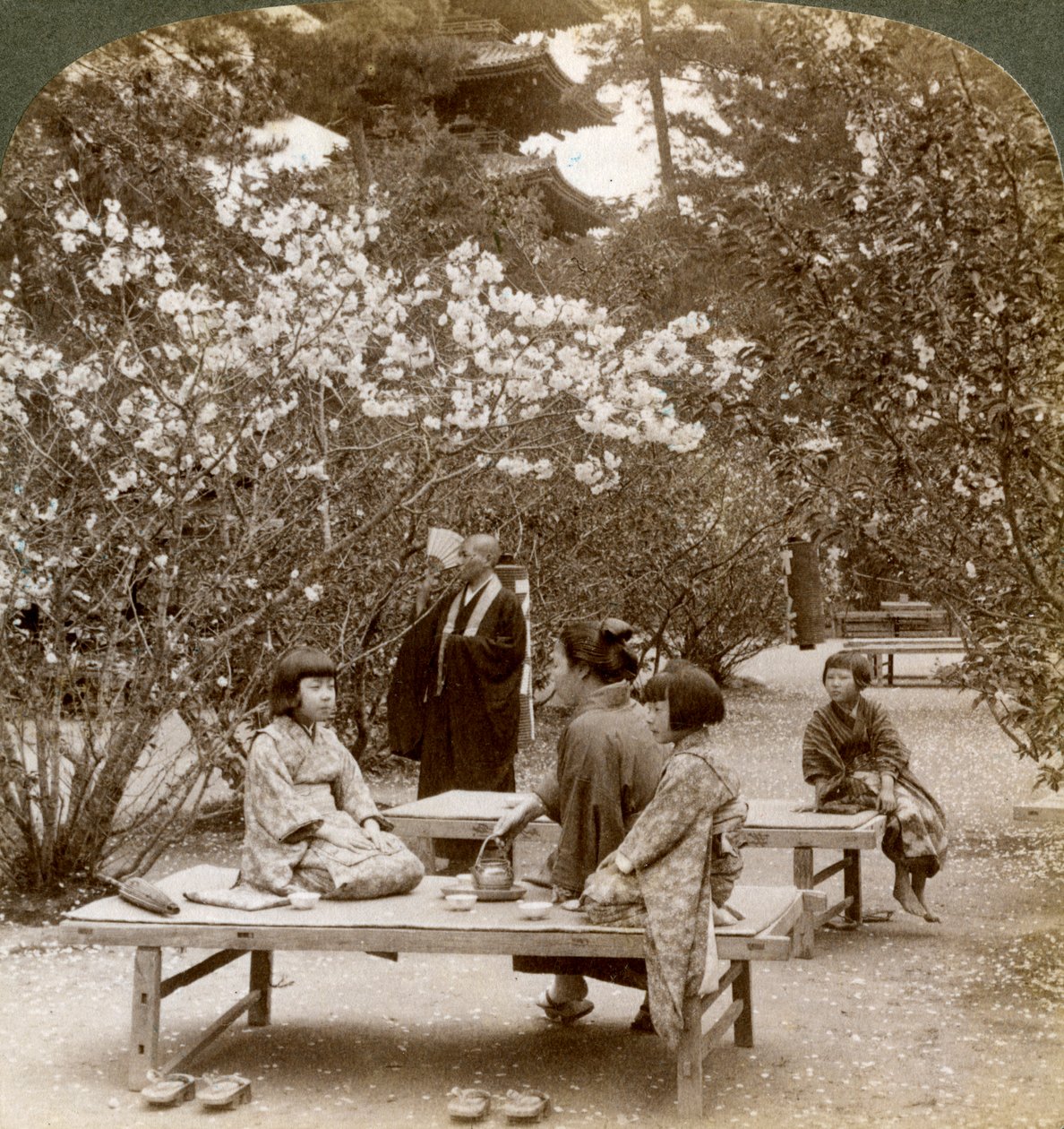 Família desfrutando de um piquenique sob as flores de cerejeira, Omuro Gosho, Kyoto, Japão, 1904. de Underwood and Underwood