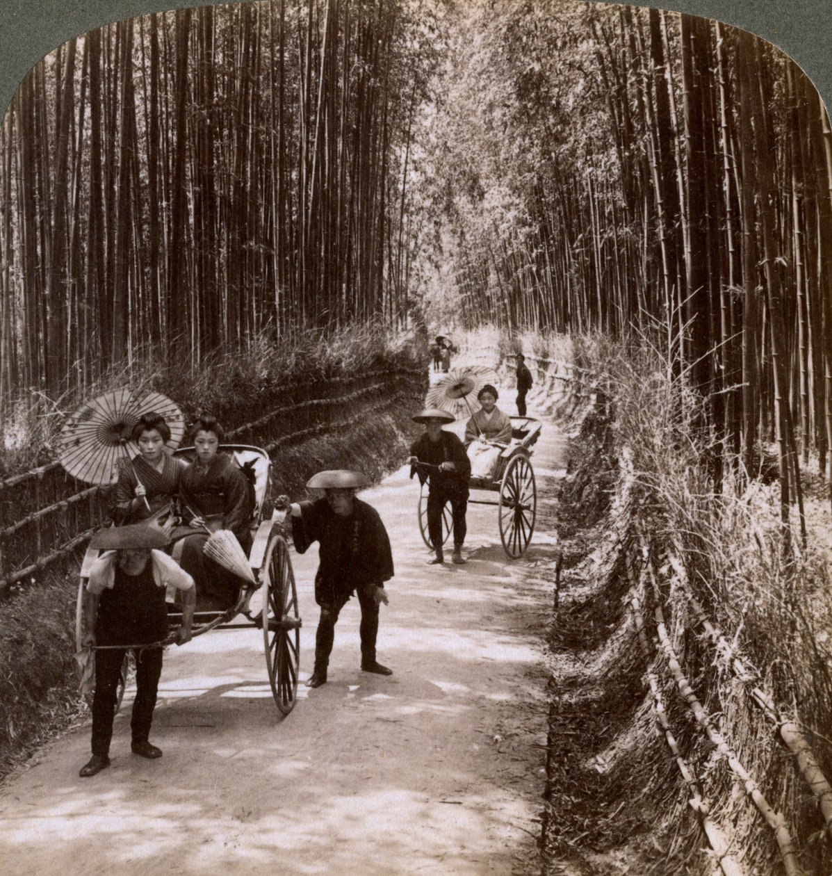 Avenida de bambu, olhando sudoeste, perto de Kiyomizu, Kyoto, Japão, 1904 de Underwood and Underwood