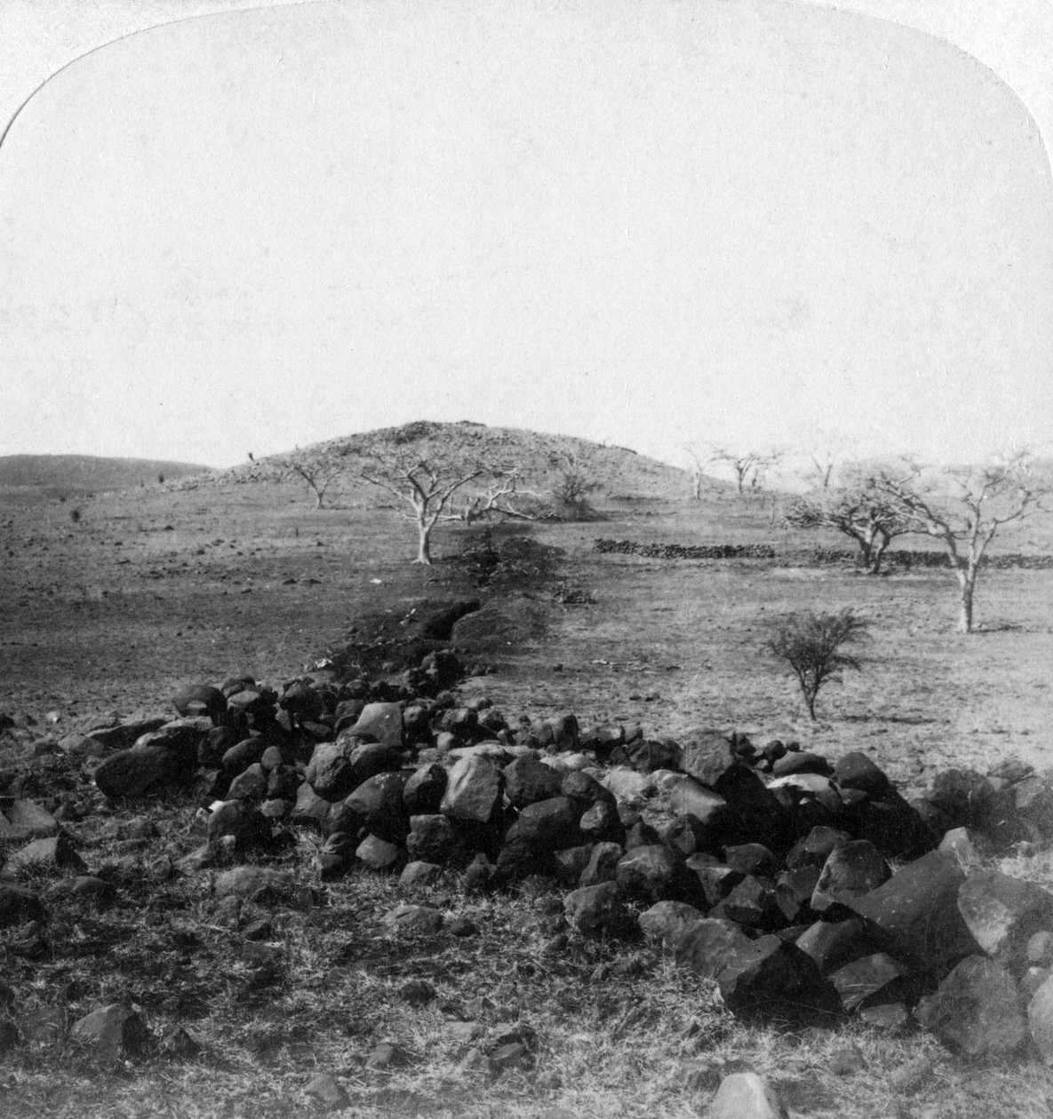 Trincheiras de Boer e crista de Harts Hill, cena do famoso ataque das Brigadas Irlandesas, Colenso, 1901 de Underwood and Underwood