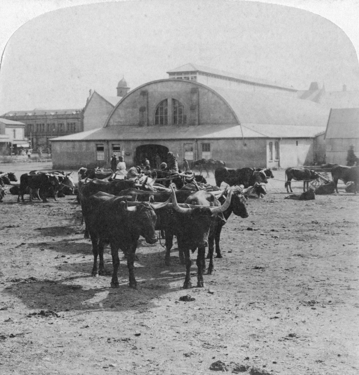 Edifício no qual os prisioneiros de guerra foram julgados, Pretória, África do Sul, Guerra dos Bôeres, 1901 de Underwood and Underwood