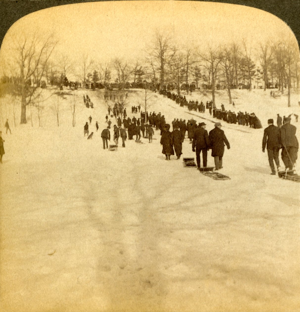 Esportes de inverno canadenses - tobogã, 1905. de Underwood and Underwood