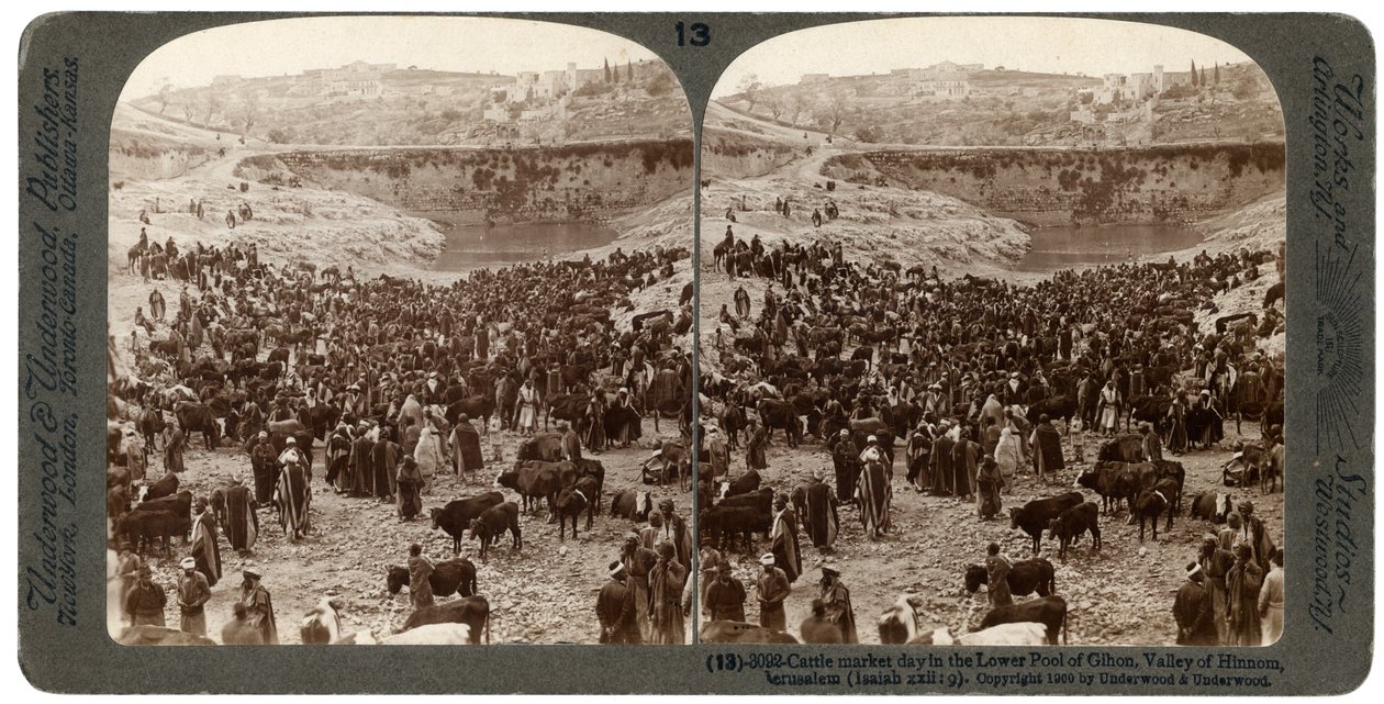 Dia do mercado de gado, na piscina inferior de Gihon, vale de Hinnom, Jerusalém, Palestina, 1900. de Underwood and Underwood
