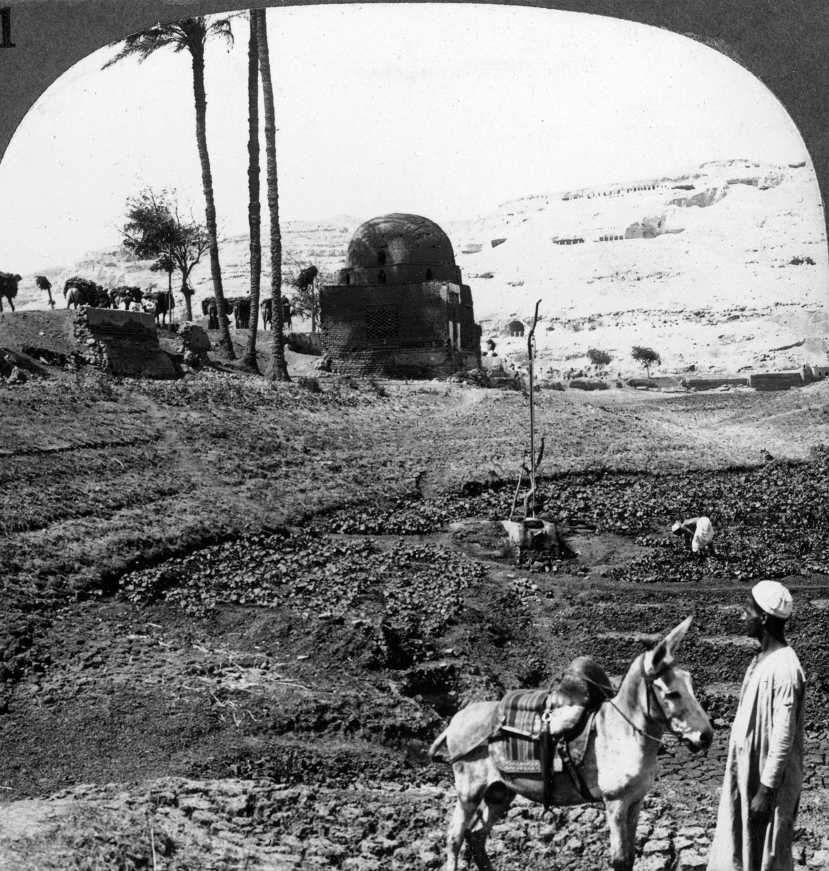 Túmulos dos senhores de Assiut, Egito, 1905. de Underwood and Underwood