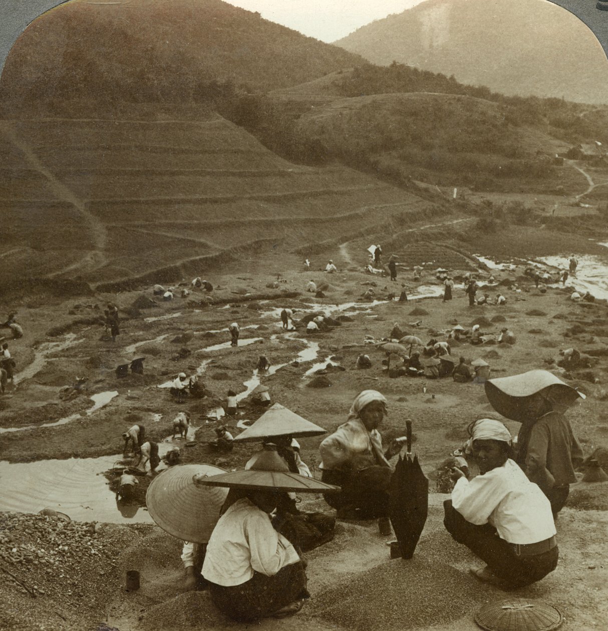 Dragando um leito de rio para rubis, Mogok, Birmânia, c1900s. de Underwood and Underwood