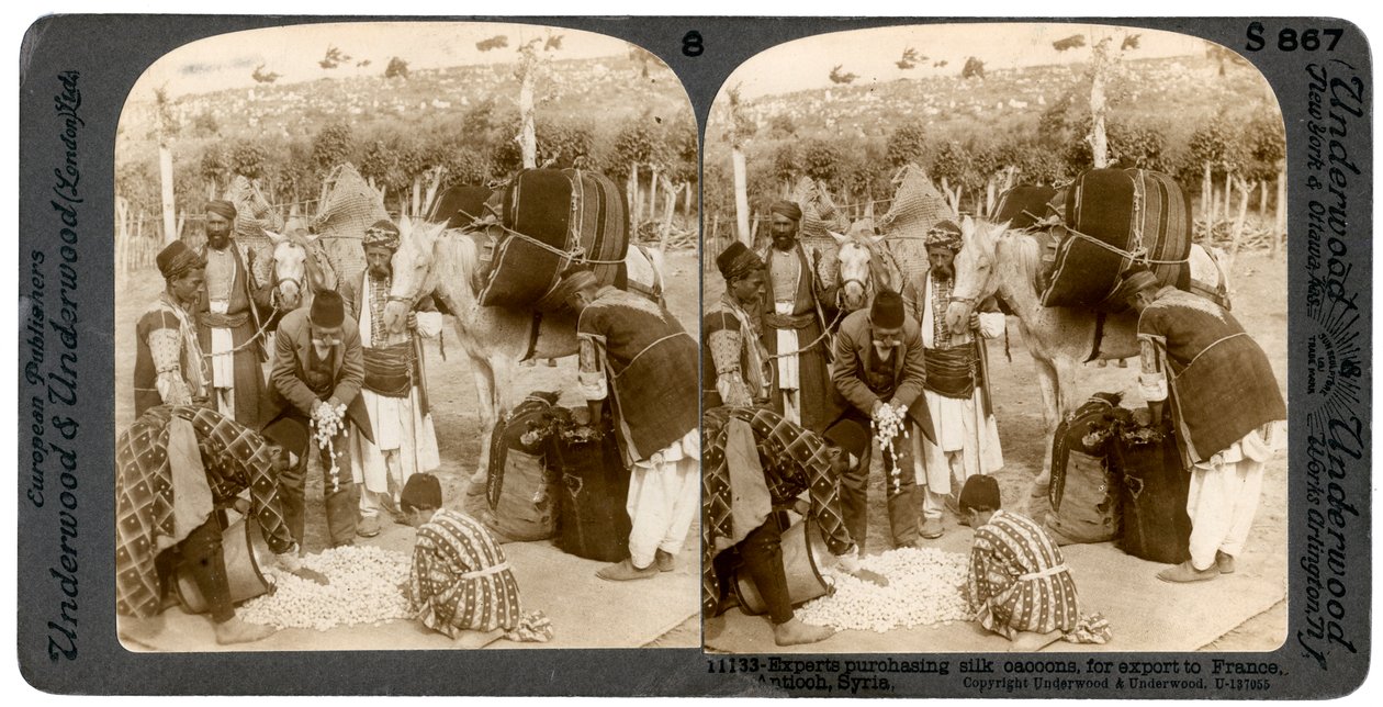 Especialistas que compram casulos de seda, para exportação para França, Antioquia, Síria, década de 1900. de Underwood and Underwood