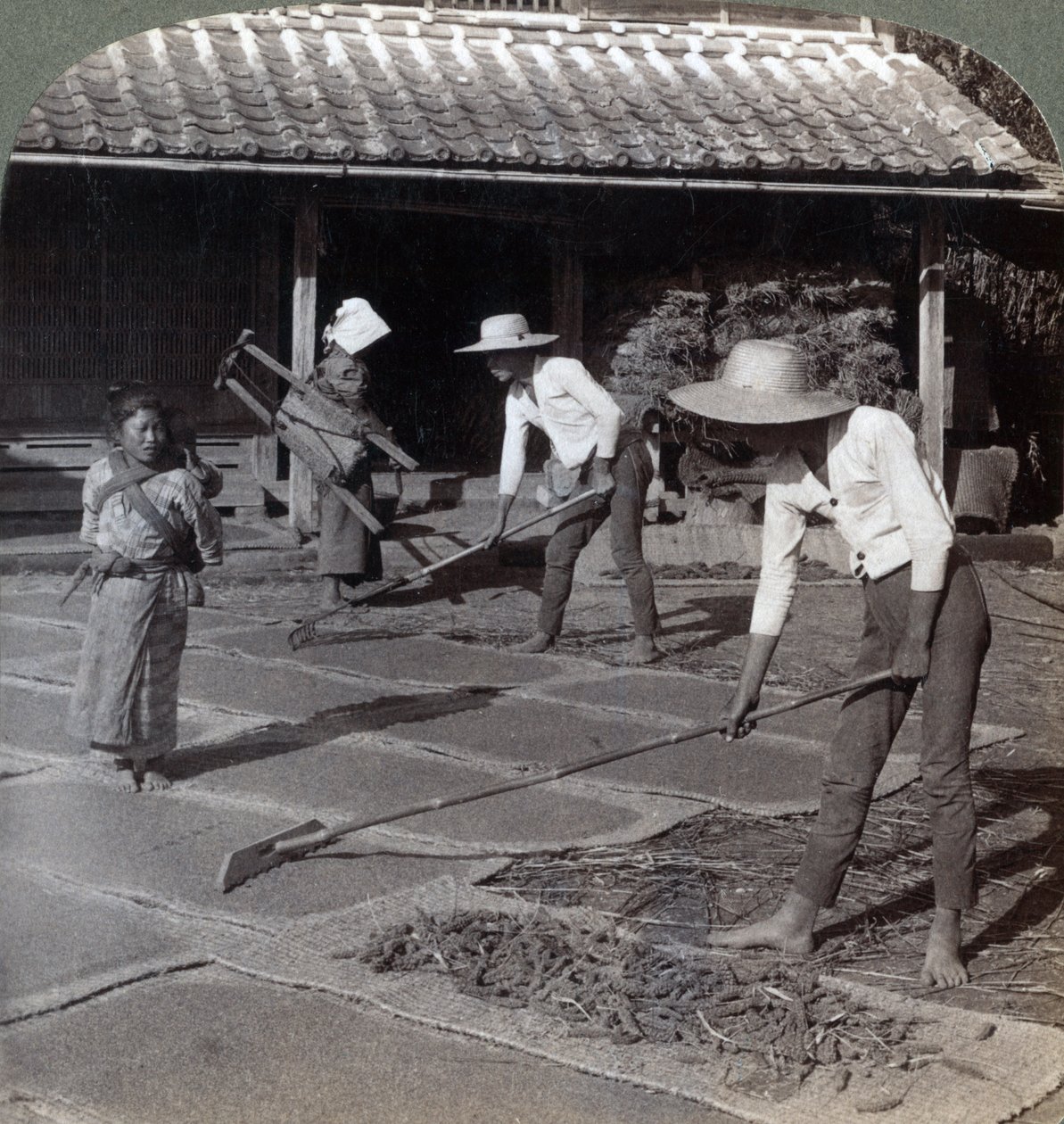 Agricultores com ancinhos de bambu espalhando milho em esteiras para secar no inverno, perto de Yokohama, Japão, 1904 de Underwood and Underwood