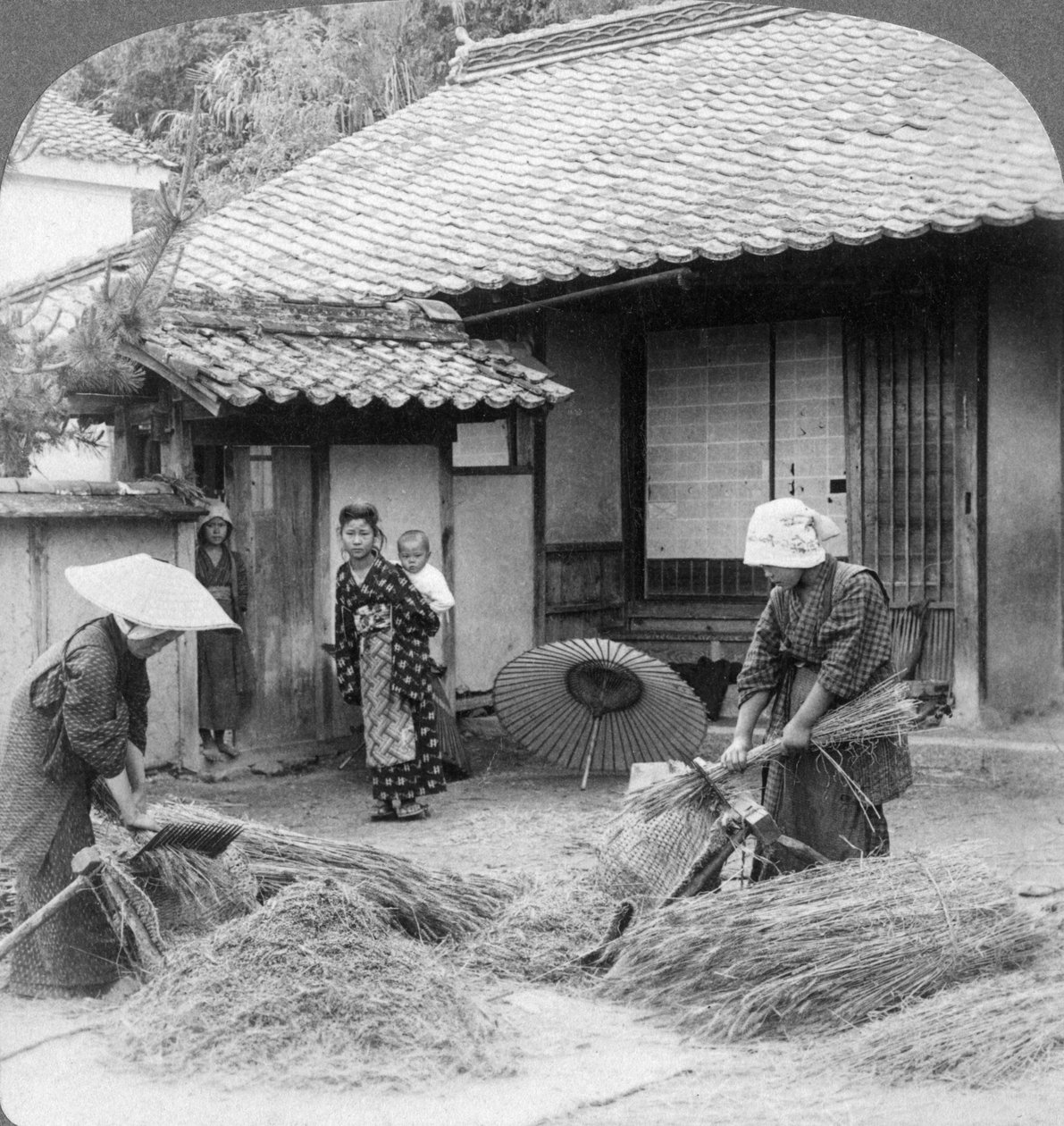 Esposas de agricultores no trabalho, Iwakuni, Japão, 1904. de Underwood and Underwood