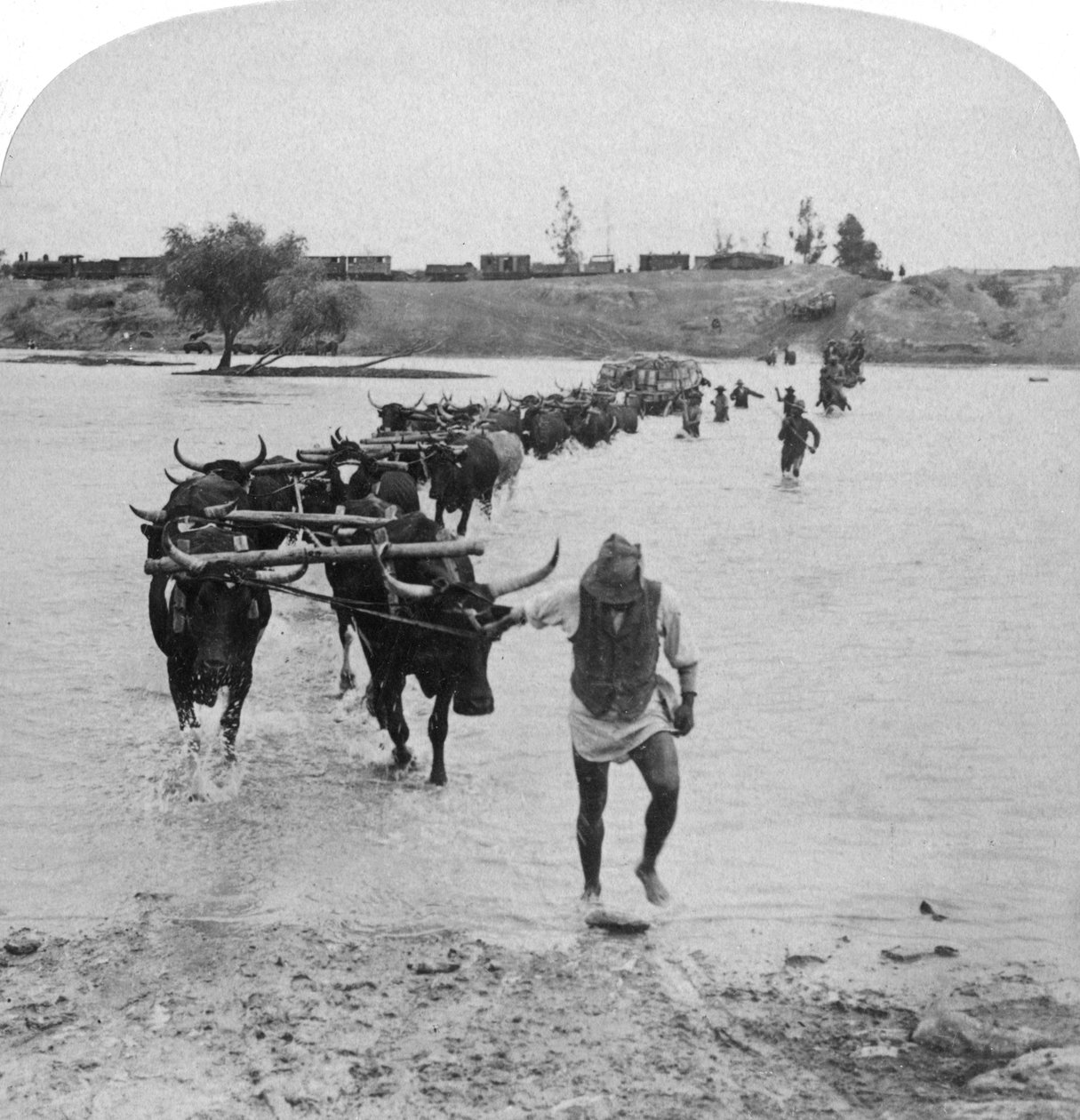 Fording the Modder River, Boer War, África do Sul, 15 de fevereiro de 1901. de Underwood and Underwood