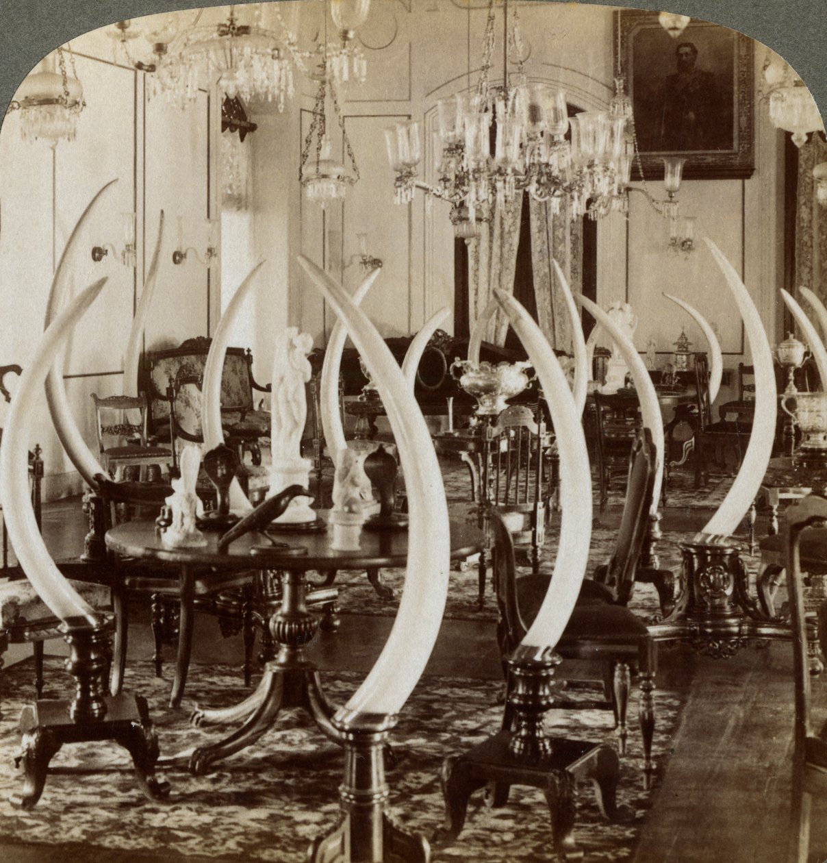 Hall of Tusks, na casa de Lady de Soysa, Bambalapitiya, Colombo, Ceilão, 1903 de Underwood and Underwood