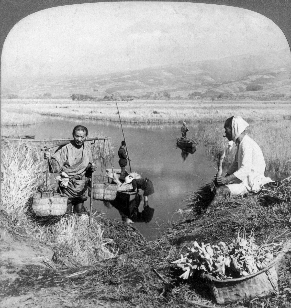 Homens reunindo juncos perto de Suzukawa, Fujiyama, Japão, 1904. de Underwood and Underwood