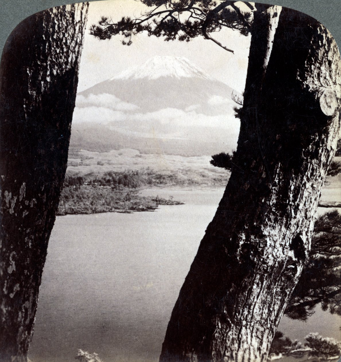 Monte Fuji, visto do noroeste, através de pinheiros no Lago Motosu, Japão, 1904 de Underwood and Underwood