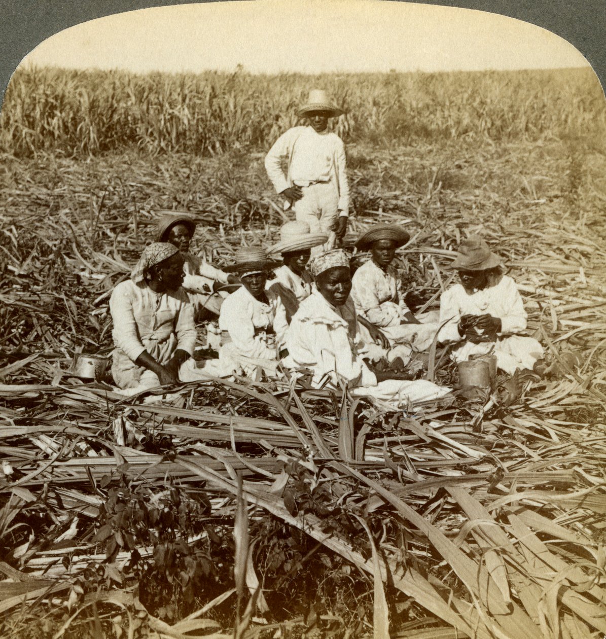 Na plantação de açúcar de La Union, San Luis, província de Santiago, Cuba, 1899. de Underwood and Underwood