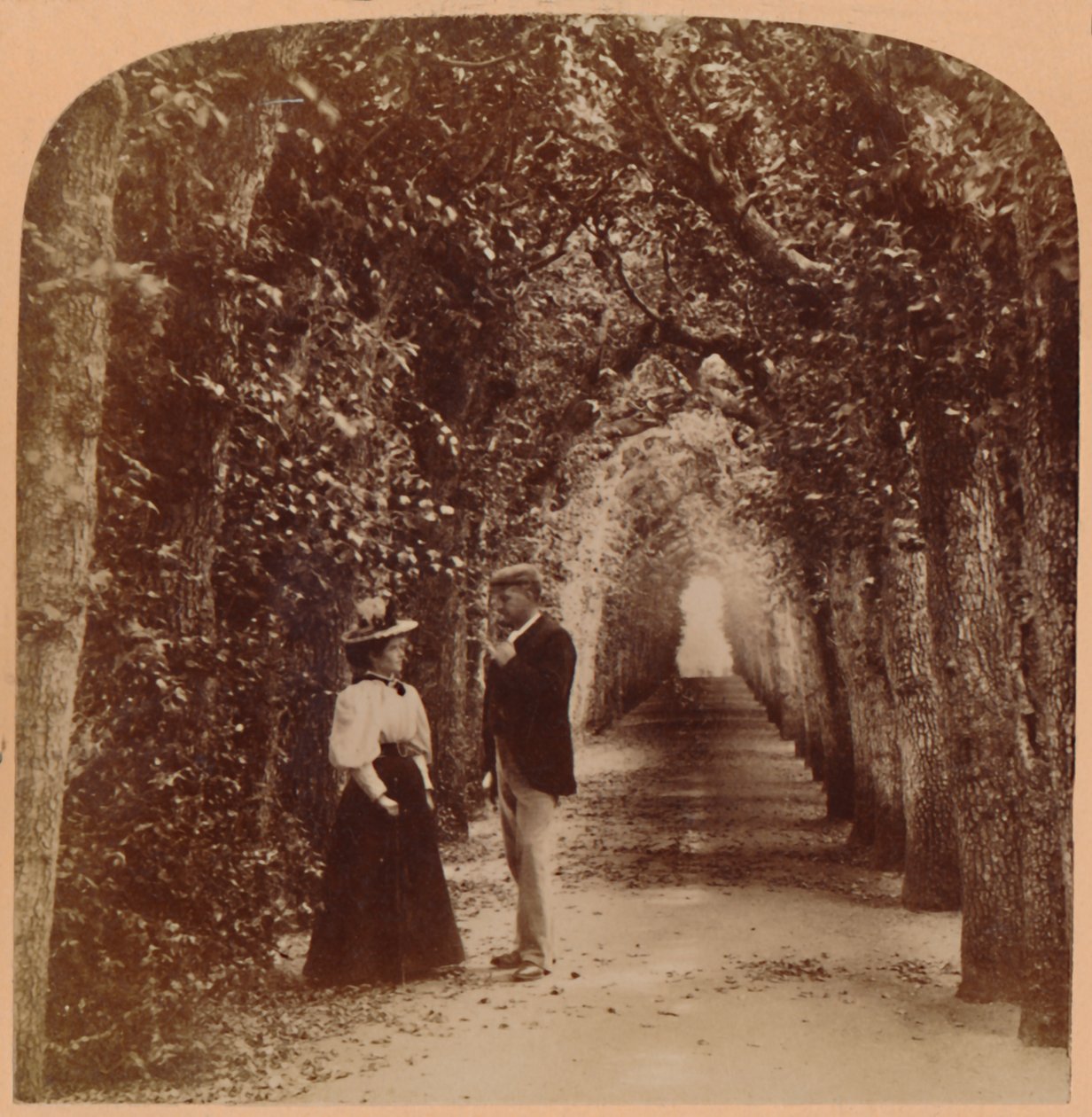 Rainha Marys Bower, Hampton Court, Londres, Inglaterra, 1896. de Underwood and Underwood
