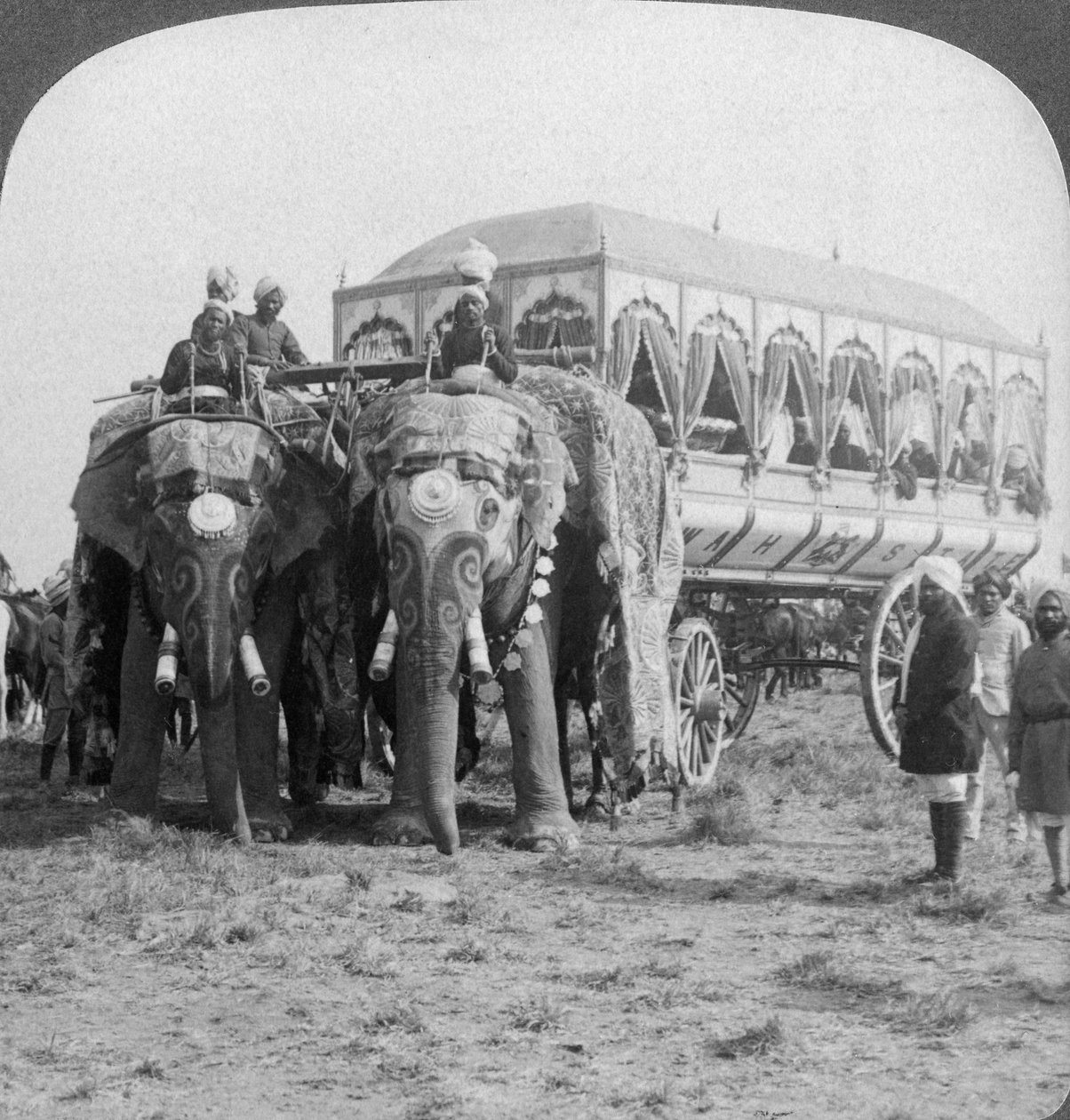 Elefantes e carruagens ricamente adornadas do marajá de Rewa em Delhi Durbar, Índia, 1903 de Underwood and Underwood