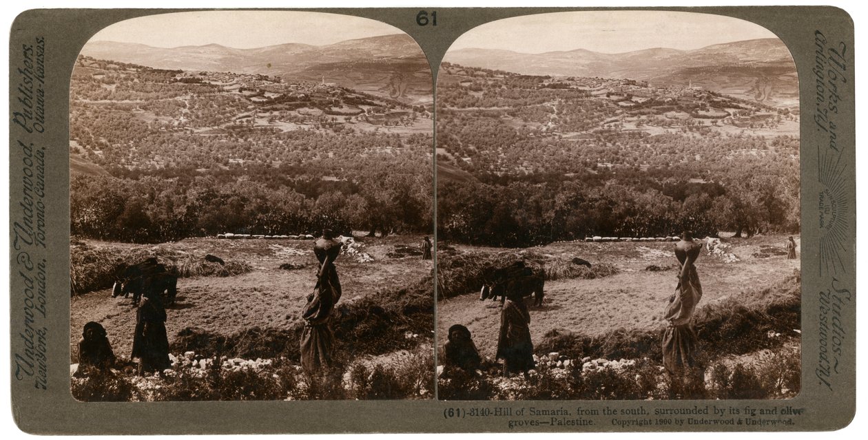 A colina de Samaria, do sul, cercada por seus figos e olivais, Palestina, 1900. de Underwood and Underwood