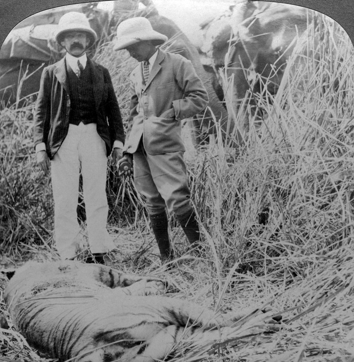 O comedor morto, selva de Behar, Índia, c1900s. de Underwood and Underwood