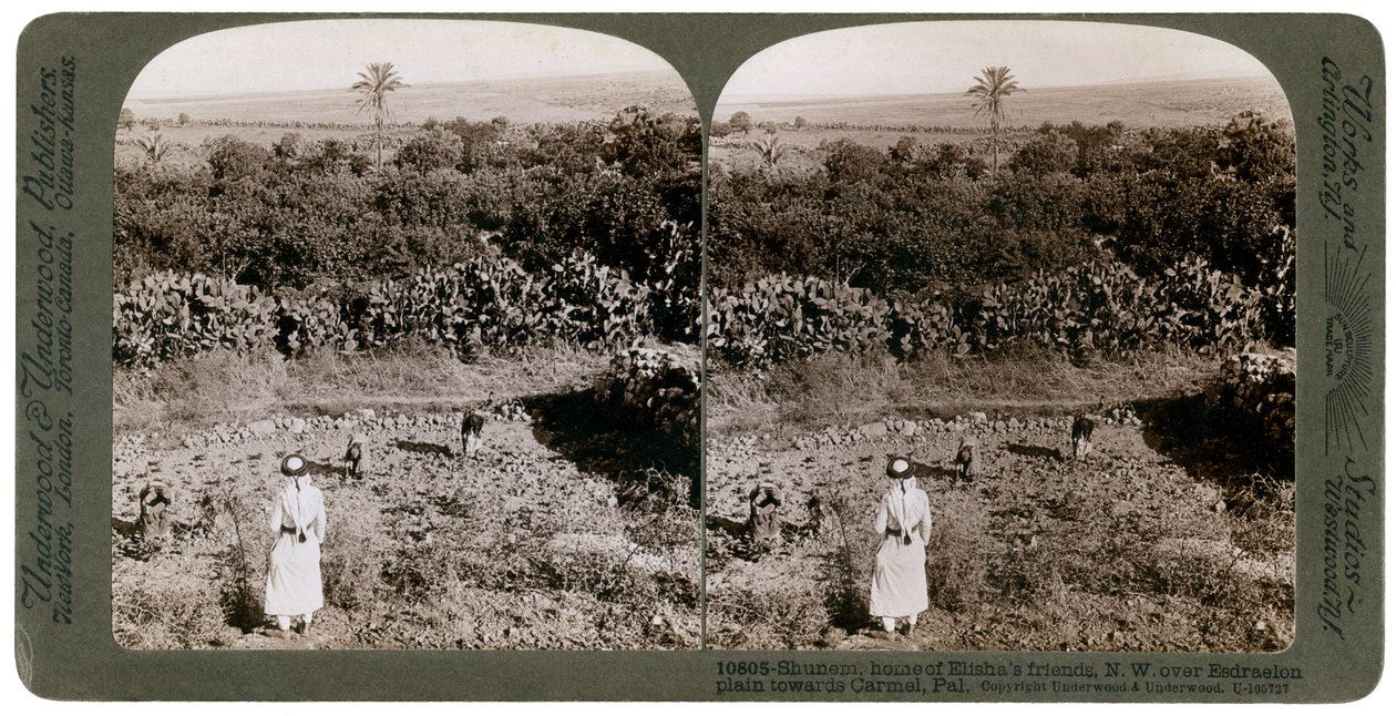 A vista noroeste de Shunem, através da planície de Esdraelon, em direção a Carmel, no século XX. de Underwood and Underwood
