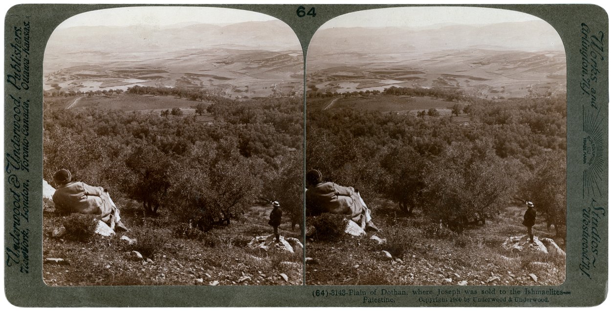 A planície de Dothan, Palestina, 1900. de Underwood and Underwood