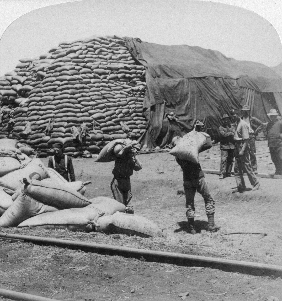Toneladas e toneladas de aveia para o amigo fiel de Tommy, De Aar, África do Sul, Guerra dos Bôeres, 1900. de Underwood and Underwood