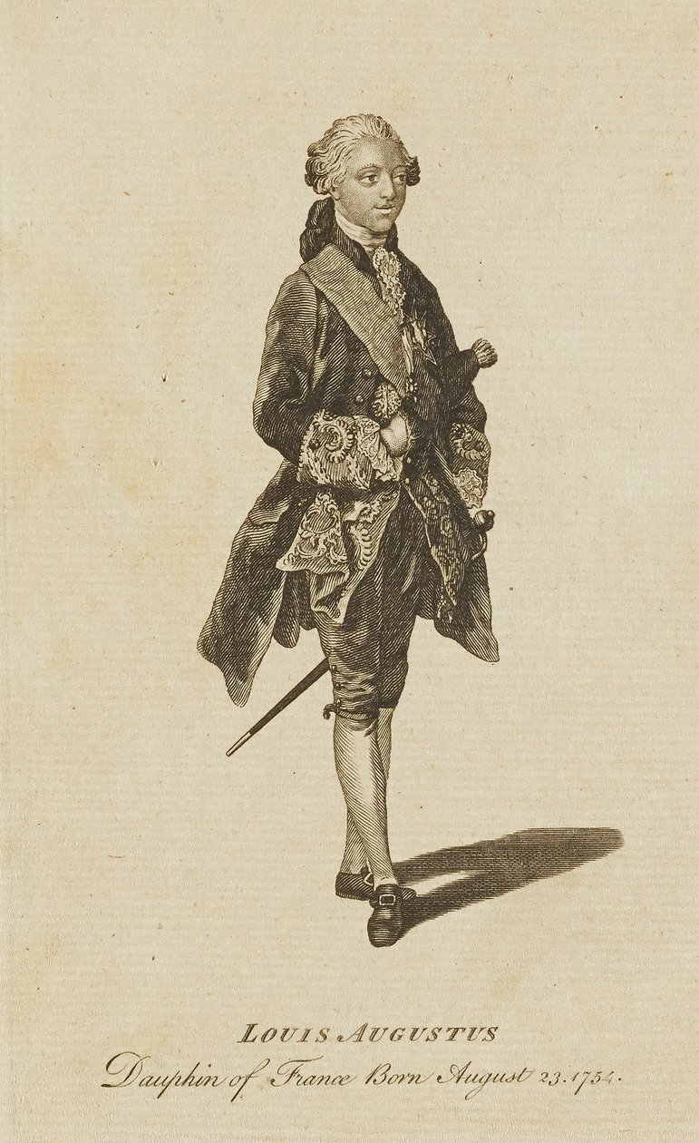 Luís Augusto, Delfim de França de Unidentified