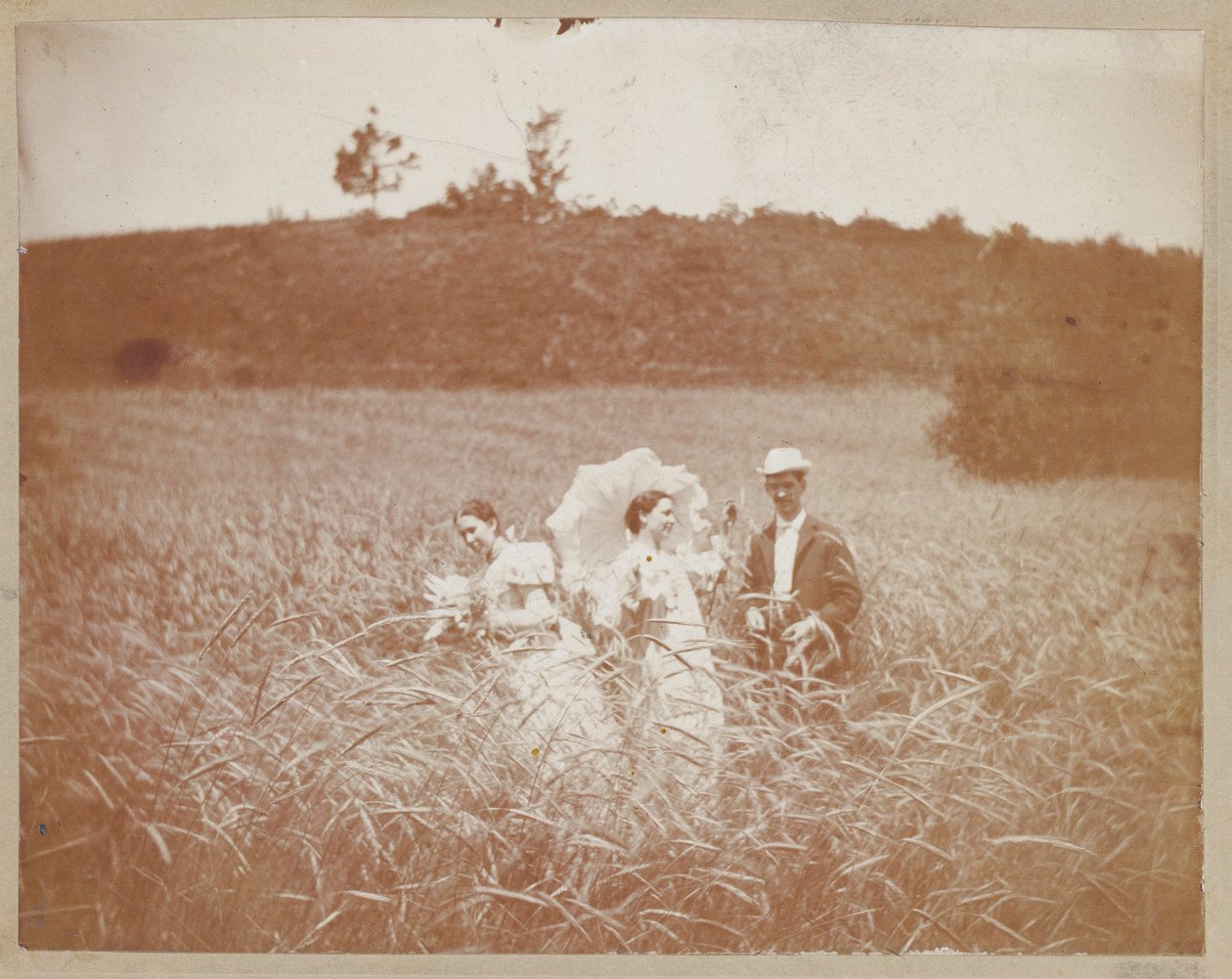 [Três amigos num campo] de Unidentified