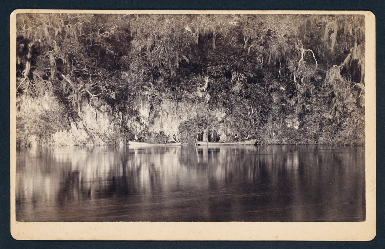 [Sob os penhascos do rio Withlacoochee, Florida] de Unidentified