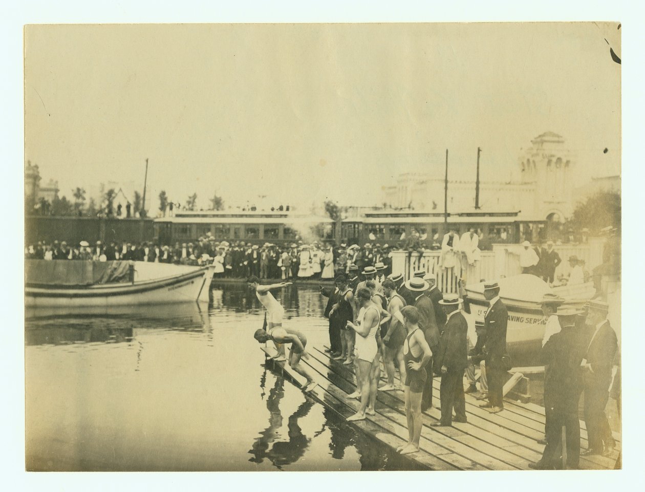 1904 Olimpíadas - Início do handicap de meia milha (natação) de Unknown